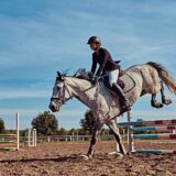 Georgia Equine Activities Liability Act And Horse Related Injuries