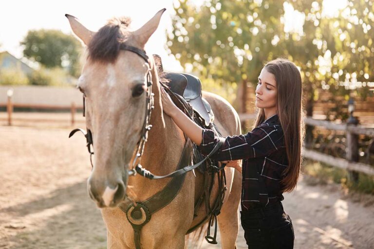 Griffin Horse Injury Lawyer