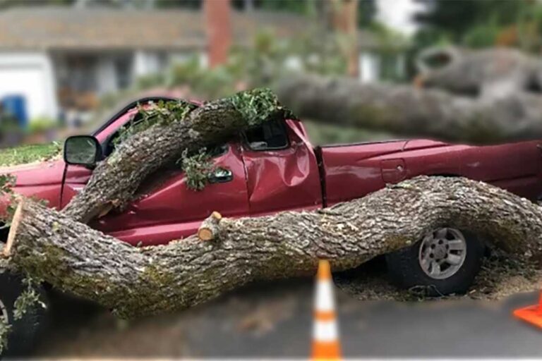 A damaged pickup truck lies beneath a fallen tree, highlighting the dangers of unexpected incidents.