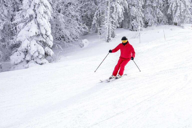 skier-slope-near-trees