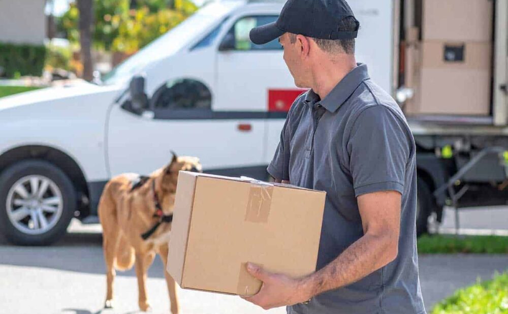 A man carrying a box is approached by a dog, emphasizing key considerations for delivery workers about potential dog attacks.