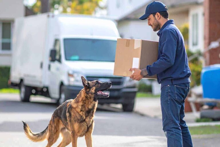 A man with a delivery box and a dog nearby, emphasizing key advice for delivery workers on managing potential dog attacks.